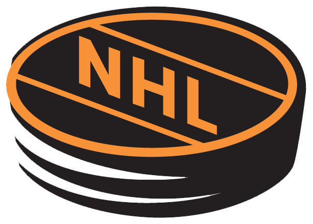 National Hockey League 1994-2005 Alternate Logo iron on transfers for clothing